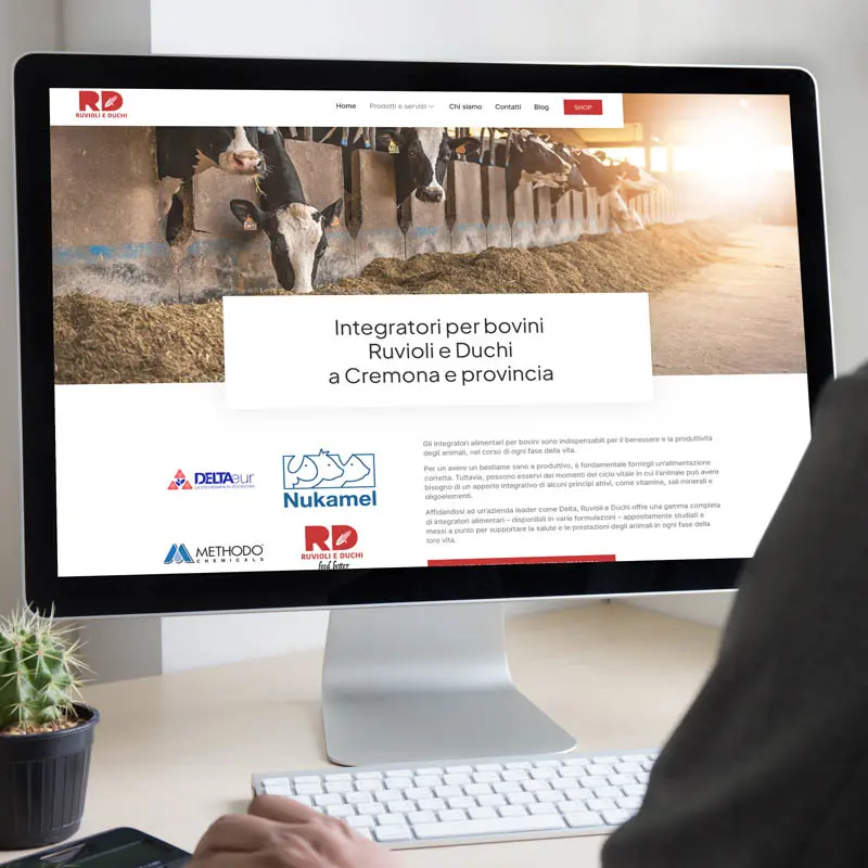 Nuovo sito web per Ruvioli e Duchi sas